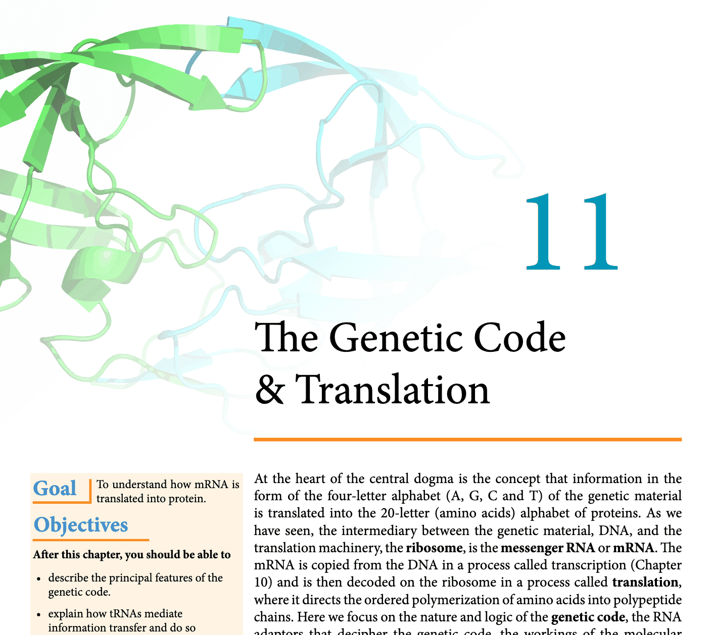 The Genetic Code and Translation
